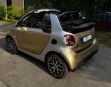 Smart ForTwo EQ Cabrio Prime Exclusive Top-Ausstattung