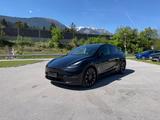 Tesla Model Y Performance Dual Motor AWD Performance
