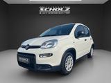 Fiat Panda MY23 Panda Hybrid *KLIMA*START-STOP* - Fiat Panda aus 2024