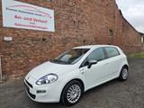 Fiat Punto 1.2 Young | TÜV neu - Fiat Punto YOUNG mit Benzin-Antrieb