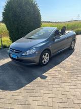 Peugeot 307 CC Filou 110 Filou  - blaue Peugeot 307