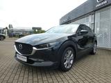 Mazda CX-30 Selection 2WD *MATRIX-LED-SW, DAB, NAVI* - Mazda CX-3: Selection