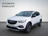 Opel Grandland (X)*LED*PDC*ALU*SHZ*KAMERA*KLIMA*MFL* - Opel Grandland (X) in Köln