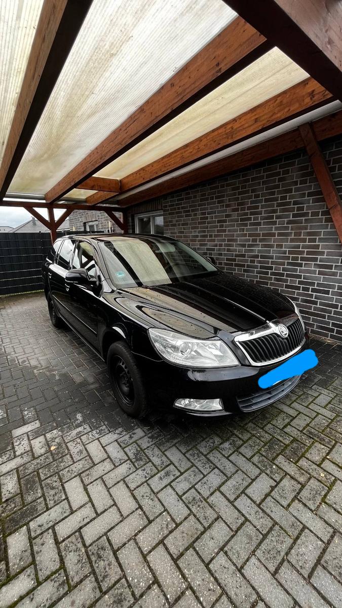 Skoda Octavia 2009 — rear view