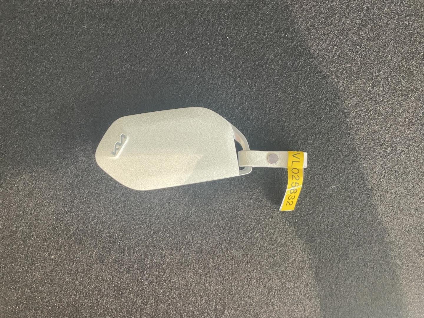 Kia EV2 61 kW Earth LED DAB SHZ LenkradHZG PDCv+h