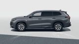 Volkswagen Tayron - Volkswagen Tayron Tageszulassungen