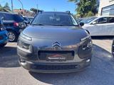 Citroën Citroen C4 Cactus BlueHDi 100 S&S Shine - Citroën C4 Cactus Kombi Gebrauchtwagen