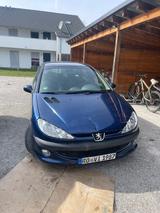 Peugeot 206 1.4 Grand Filou 75 Grand Filou - Peugeot 206 aus 2006: 1.4