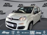 Fiat Panda Pandina 1.0 GSE Hybrid 48 kW Icon - Fiat Panda Jahreswagen