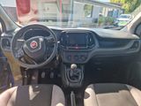 Fiat Doblo Cargo Serie 2 - Fiat Doblo mit Diesel-Antrieb: Kombi