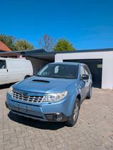 Subaru Forester SH 2.0 AWD - Subaru Forester aus 2011 mit Diesel-Antrieb