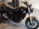 Benelli Leoncino 500 - BENELLI LEONCINO 500
