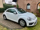 Volkswagen Beetle 1.2 TSI BMT ALLSTAR  NAVI, KAM. Tüv neu - Volkswagen Beetle in Essen