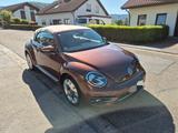 Volkswagen Beetle 1.4 TSI DSG BMT Exclusive Design Cabr... - Volkswagen Beetle: Exclusive Design