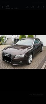 Audi A5 2.7 TDI (DPF) Cabriolet - - Audi A5 mit Diesel-Antrieb: 2.7