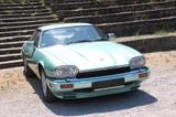 Jaguar Coupe Insignia 6.0 V12 mit 2 Jahre Garantie - Jaguar XJS: Coupé, V12
