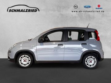 Bild 2 Fiat Panda Base 1.0 Mild Hybrid DAB Klima BT teilb.Rü