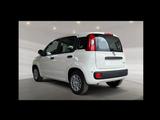 Fiat Panda - Fiat Panda mit Benzin-Antrieb: Kleinwagen