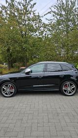 Audi Sq5 Tüv Neu B&O Pano Ahk Dab - Audi SQ5 in Düsseldorf