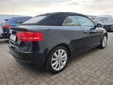 Audi A3 Cabriolet Ambition Leder Braun Xenon Navi TOP - Audi A3: Cabrio, Ambition