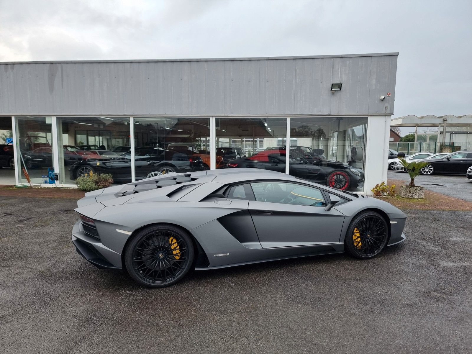 Fahrzeugabbildung Lamborghini Aventador S/Carbon/Lift/Matt/Gr. Service 11/25