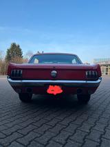 Ford Mustang H-Kennzeichen Oldtimer - Ford Mustang in Hagen