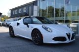 Alfa Romeo 4C Spider Vollausstattung Leder Carbon - Alfa Romeo 4C Gebrauchtwagen