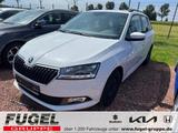 Skoda Fabia 1.0 TSI Style LED|RFK|SHZ|Klimaaut. - Skoda Fabia: R