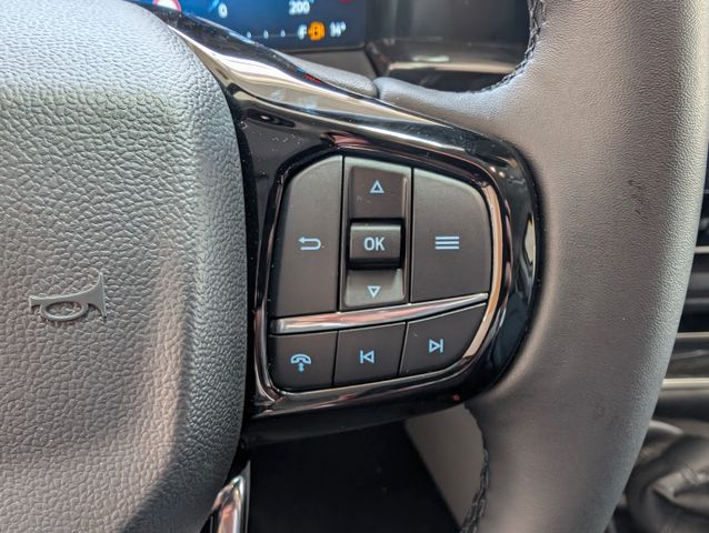 Ford Tourneo Custom 2.0 L Titanium X 5Jahre Garantie!