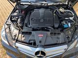 Mercedes-Benz E 350 Cabriolet E 350 BlueEFF. AVANTGARDE AV...