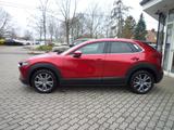 Mazda CX-30 2.0L e-SKYACTIV X 186 6AT Exclusive-line - Mazda CX-30 in Dresden