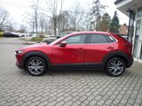 Mazda CX-30 2.0L e-SKYACTIV X 186 6AT Exclusive-line - Mazda CX-30 in Dresden
