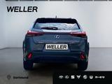 Lexus UX 300h F SPORT Design *LED*Kamera*SHZ*PDC v+h* - graue Lexus UX