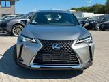 Lexus UX250h Hybrid Luxury Line - Lexus aus 2019
