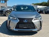 Lexus UX250h Hybrid Luxury Line - Lexus UX Gebrauchtwagen