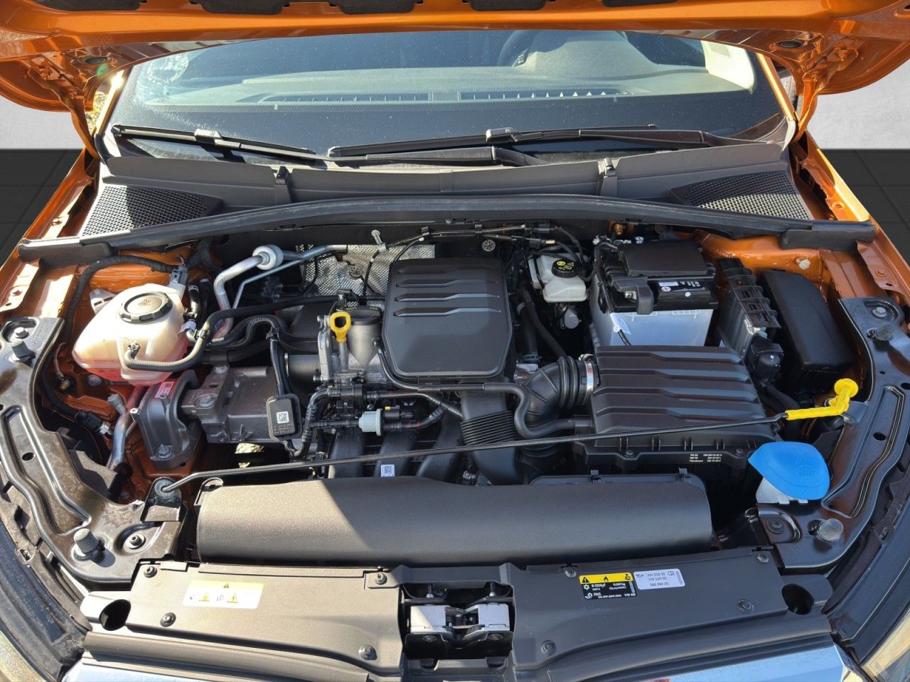 Fahrzeugabbildung SKODA Fabia Active Klimaanlage Sonderlackierung