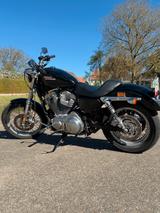 Harley-Davidson XL883 - HARLEY-DAVIDSON 2009 883