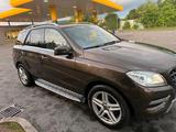 Mercedes-Benz ML350 Bluetec 4Matic - Mercedes-Benz ML 350 in Ludwigshafen
