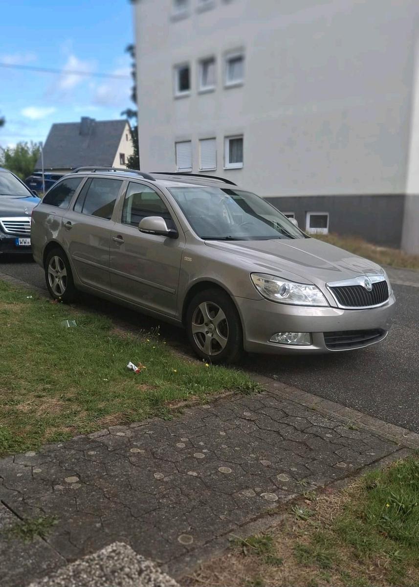 Skoda Octavia 2011 — rear view