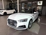 Audi A5 Cabriolet 45 TFSI quattro S-Line LED Virtual  - Audi A5: Teilleder, Schiebedach