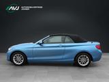 BMW 220i Cabrio Advantage | Leder | ECC - blaue BMW 220