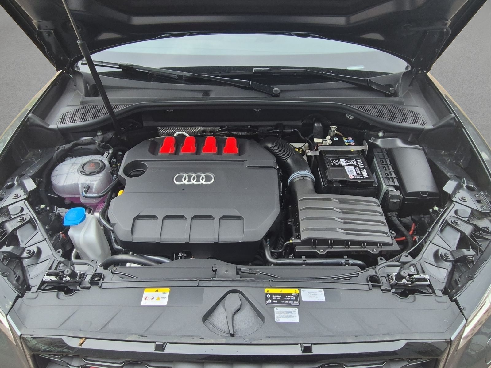 Audi SQ2 - Bild 21