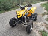 Can-Am DS 450 - CAN-AM 450