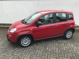 Fiat Panda MY24 1.0 GSE Hybrid Klimaanlage - Fiat Panda Gebrauchtwagen in Aachen