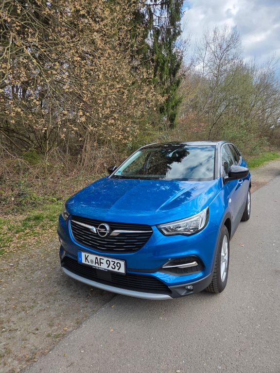 Image of Opel Grandland (X)