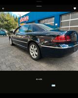 Volkswagen Phaeton 3.0 V6 TDI lang 4MOT. Tiptronic 4-Si... - Volkswagen Phaeton: Lang
