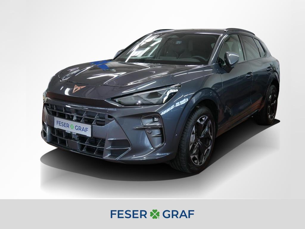 Cupra Terramar VZ 2.0 TSI 4Dr AHK Navi Pano Sennheiser