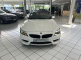 BMW Z4 sDrive20i M-Sport*Leder*Navi*Xenon* - BMW Z4: Sdrive