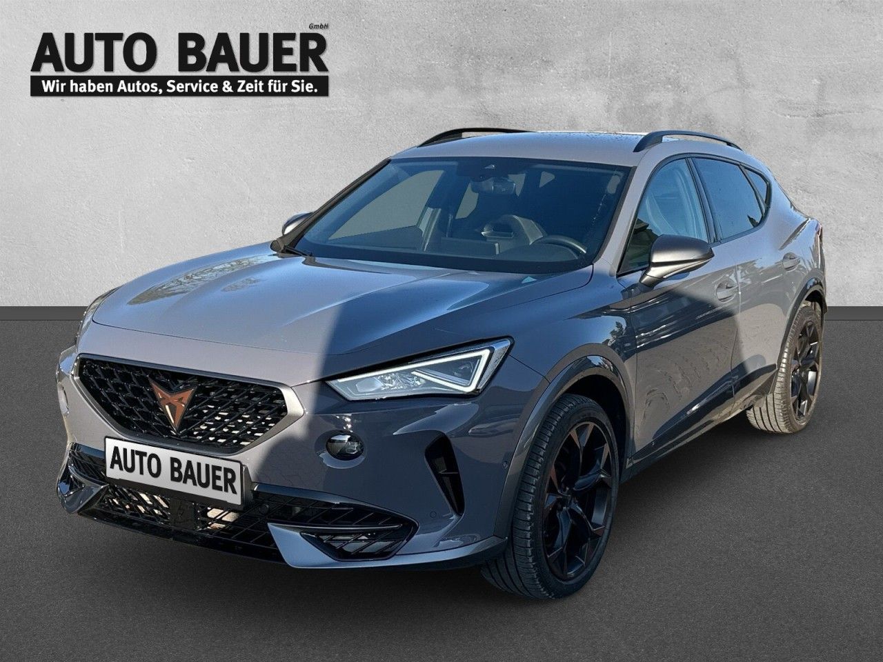 Fahrzeugabbildung CUPRA Formentor VZ 2.0 TSI 4Drive (310 PS) 7-Gang-DSG