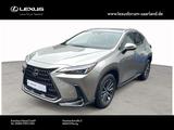 Lexus NX 350 Business Line incl Connect Paket - silberne Lexus NX 350h